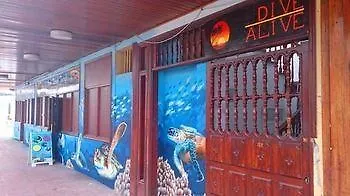 Hotel Sea Hostel Dive Alive Los Cristianos